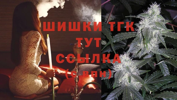 PSILOCYBIN Белокуриха