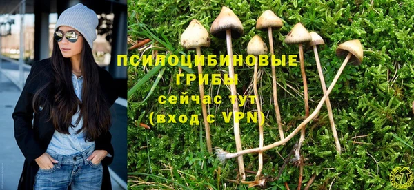 PSILOCYBIN Белокуриха